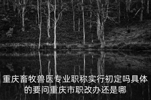 重慶畜牧獸醫專業職稱實行初定嗎具體的要問重慶市職改辦還是哪
