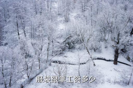 東莞服裝高級跟單工資多少，服裝跟單工資多少