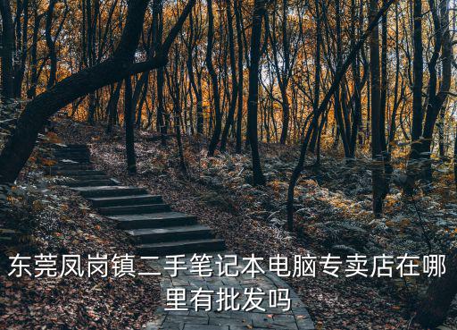 東莞鳳崗鎮二手筆記本電腦專賣店在哪里有批發嗎