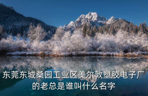 東莞東城桑園工業(yè)區(qū)美爾敦塑膠電子廠的老總是誰叫什么名字