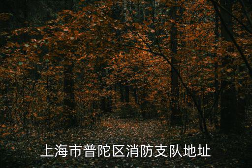 上海市普陀區竹柳路，上海市普陀區消防支隊地址