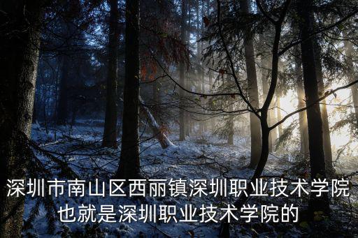 深圳市南山區西麗鎮深圳職業技術學院也就是深圳職業技術學院的