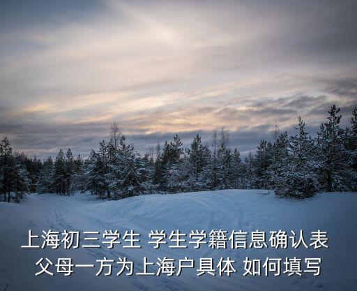 上海市學籍登記表，2010年上海市普通高校秋季招生考試報名登記表的學籍號和報名號怎么