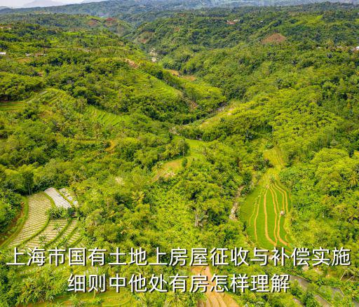 上海市國有土地上房屋征收與補(bǔ)償實施細(xì)則中他處有房怎樣理解
