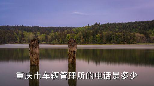 重慶市車輛管理所的電話是多少