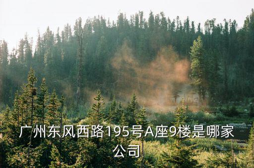 廣州東風(fēng)西路195號(hào)A座9樓是哪家公司