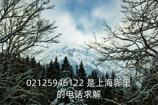 02125946122 是上海哪里的電話求解