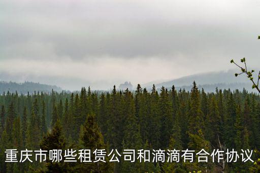 重慶市哪些租賃公司和滴滴有合作協議
