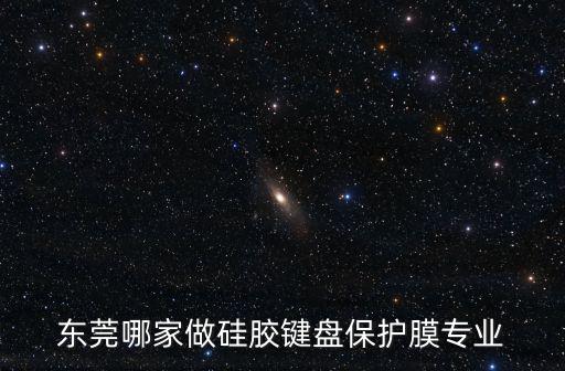 東莞哪家做硅膠鍵盤保護膜專業