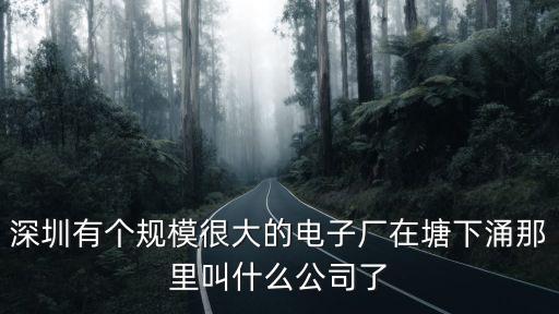 深圳有個規模很大的電子廠在塘下涌那里叫什么公司了