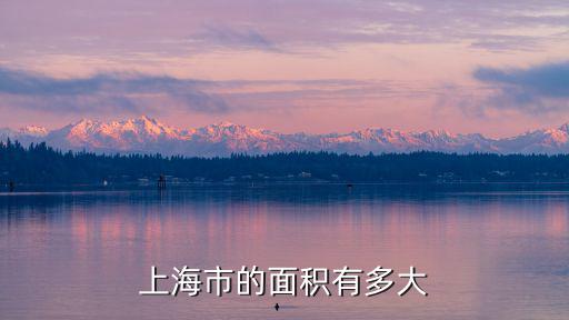 上海市的面積有多大
