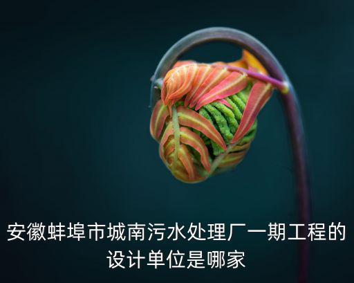 安徽蚌埠市城南污水處理廠(chǎng)一期工程的設(shè)計(jì)單位是哪家