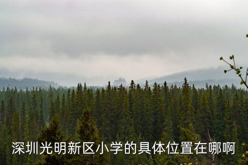 深圳光明新區小學的具體位置在哪啊