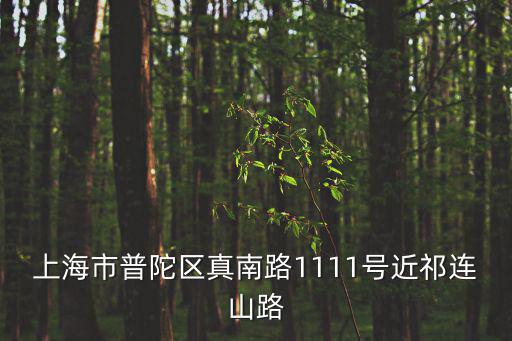 上海市普陀區(qū)真南路1111號(hào)近祁連山路