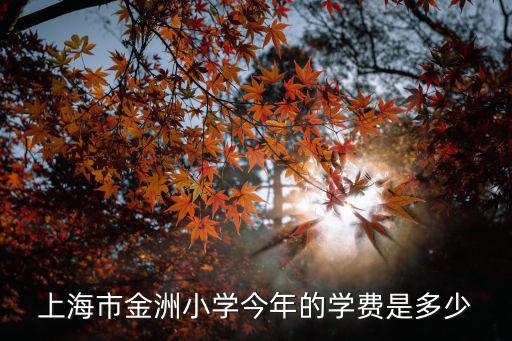上海市金洲小學(xué)今年的學(xué)費(fèi)是多少