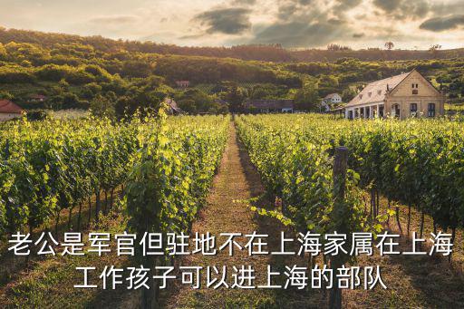 老公是軍官但駐地不在上海家屬在上海工作孩子可以進上海的部隊