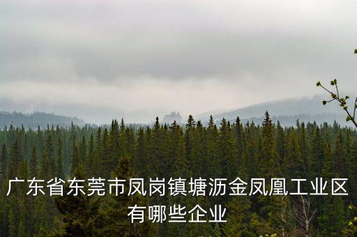 廣東省東莞市鳳崗鎮(zhèn)塘瀝金鳳凰工業(yè)區(qū)有哪些企業(yè)