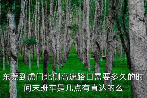 東莞虎門高速路口，東莞市虎門大寧高速路口在那里