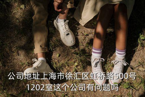 公司地址上海市徐匯區虹橋路500號1202室這個公司有問題嗎