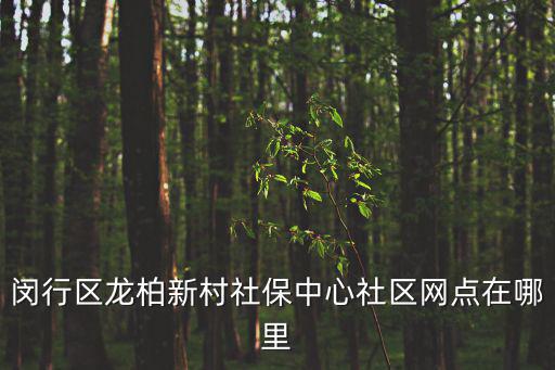 上海市閔行區社保卡辦理網點，上海閔行區外來人口綜合保險辦理的地址在哪里我要補辦醫療保險卡