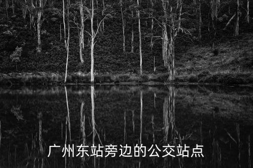廣州東站旁邊的公交站點
