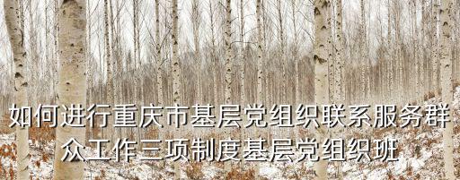 如何進行重慶市基層黨組織聯系服務群眾工作三項制度基層黨組織班