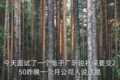 今天面試了一個電子廠聽說社保要交250昨晚一個月公司人說這是