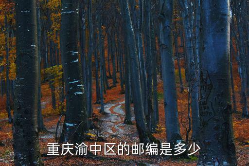 重慶渝中區的郵編是多少
