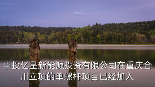 中投億星新能源投資有限公司在重慶合川立項(xiàng)的單螺桿項(xiàng)目已經(jīng)加入