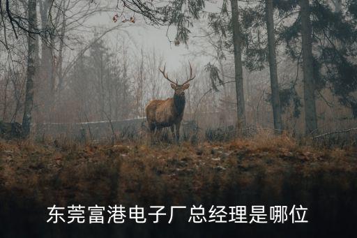 東莞富港電子廠總經(jīng)理是哪位