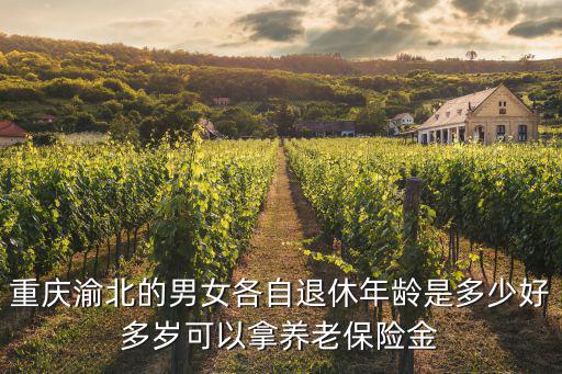 重慶渝北的男女各自退休年齡是多少好多歲可以拿養(yǎng)老保險金