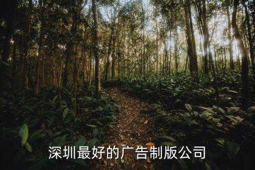 深圳最好的廣告制版公司