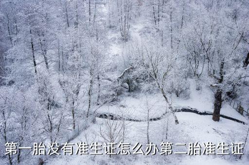 第一胎沒有準生證怎么辦第二胎準生證