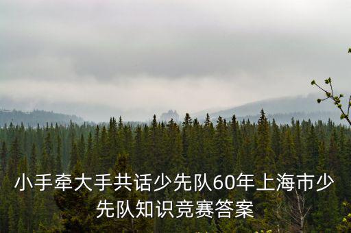 上海市小手牽大手試題答案，小手牽大手 共話少先隊60年知識競賽初賽的判斷題答案