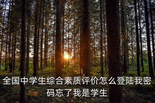 全國中學生綜合素質評價怎么登陸我密碼忘了我是學生