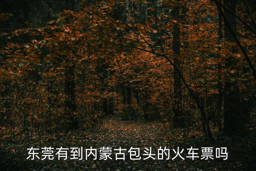 東莞有到內蒙古包頭的火車票嗎