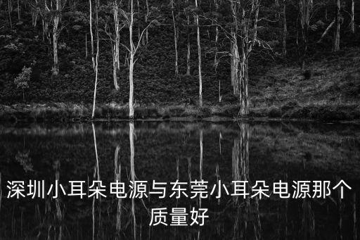 深圳小耳朵電源與東莞小耳朵電源那個質量好