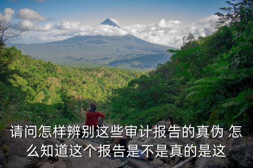 請問怎樣辨別這些審計報告的真?zhèn)?怎么知道這個報告是不是真的是這