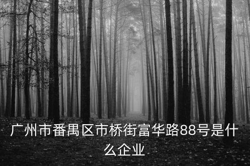 廣州市番禺區市橋街富華路88號是什么企業