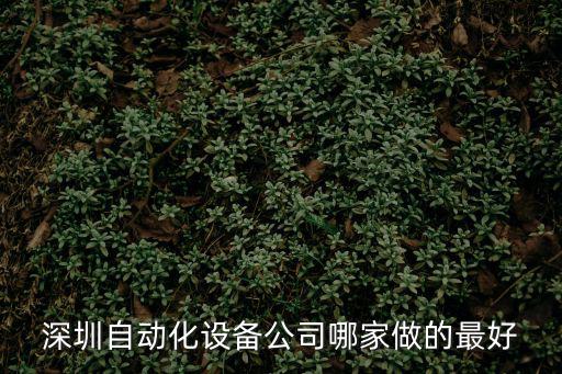 深圳自動(dòng)化設(shè)備公司哪家做的最好