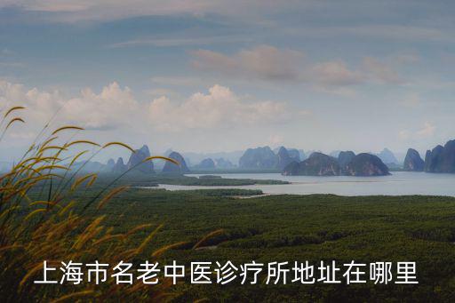 上海市明華路888，想知道 上海市 斯凱奇貿易上海有限公司 在哪具體地理位置