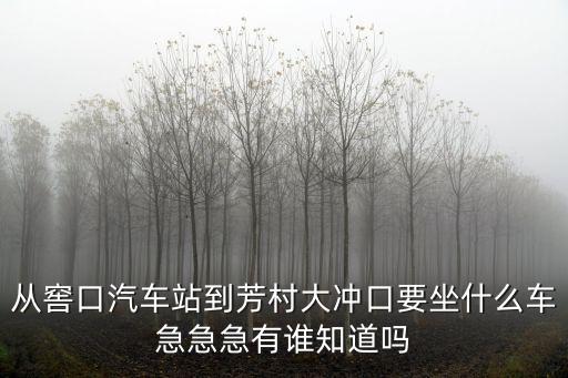 從窖口汽車站到芳村大沖口要坐什么車急急急有誰知道嗎