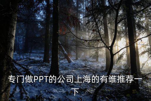 專門做PPT的公司上海的有誰推薦一下