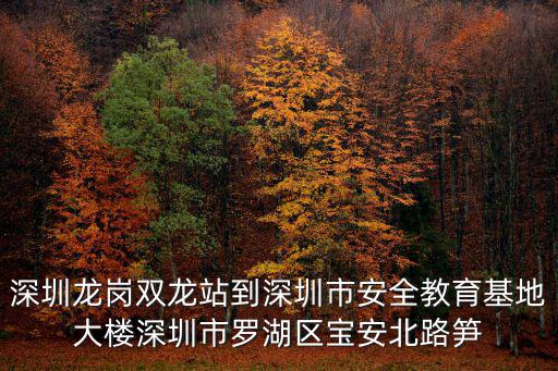 深圳龍崗雙龍站到深圳市安全教育基地大樓深圳市羅湖區寶安北路筍
