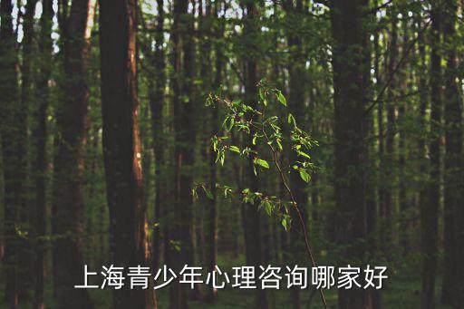 上海青少年心理咨詢哪家好