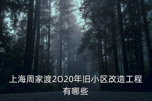 上海市舊區改造流程，上海盧灣區永年路149弄舊區改造屬幾號地塊
