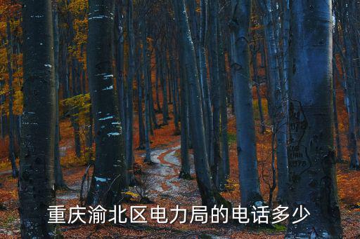 重慶渝北區電力局的電話多少