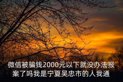 微信被騙錢2000元以下就沒辦法報案了嗎我是寧夏吳忠市的人我通