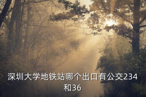 深圳大學(xué)地鐵站哪個(gè)出口有公交234和36