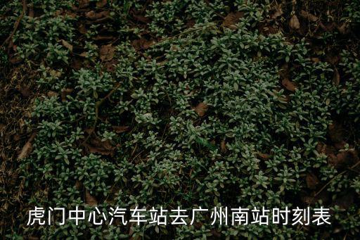 虎門中心汽車站去廣州南站時(shí)刻表